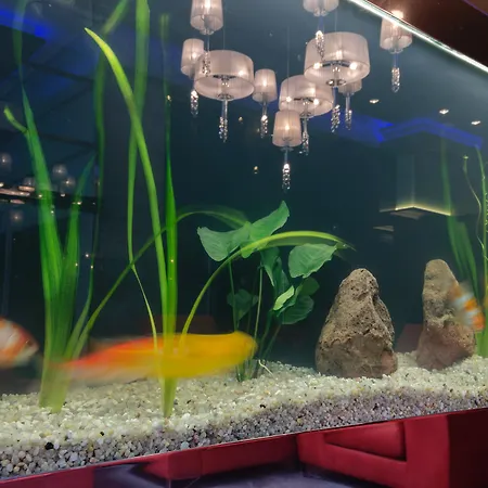 Agua De Mar Boutique Hotel 4*