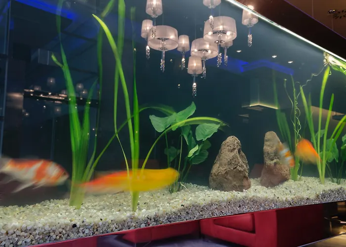 Agua De Mar Boutique Hotel 4*