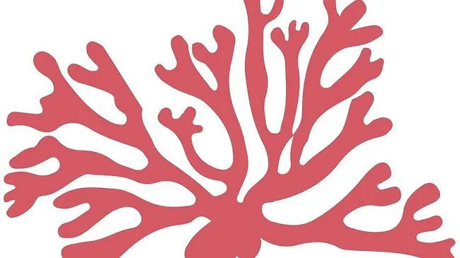 Agua De Mar Boutique 4*